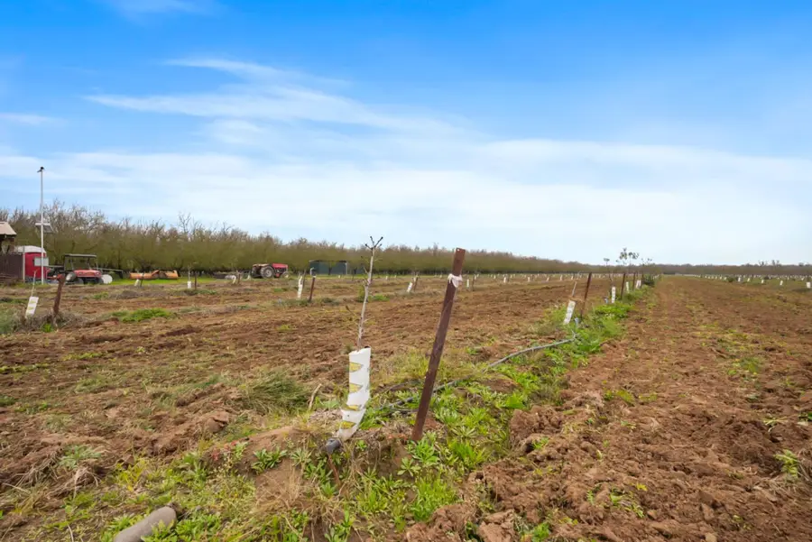 16221 Carrolton Road, Escalon, CA 95320 - Image #3