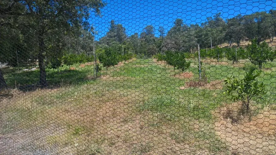 741 Eclipse Mine, Auburn, CA 95603 - Image #2