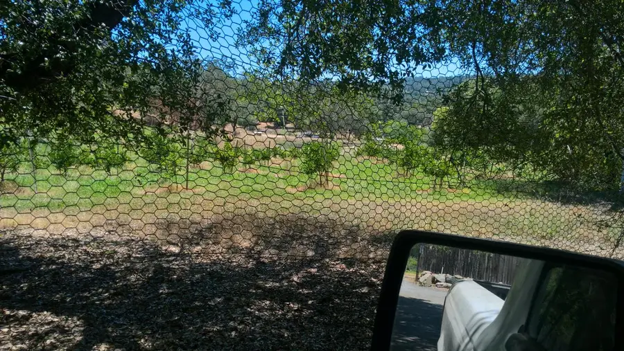 741 Eclipse Mine, Auburn, CA 95603 - Image #3