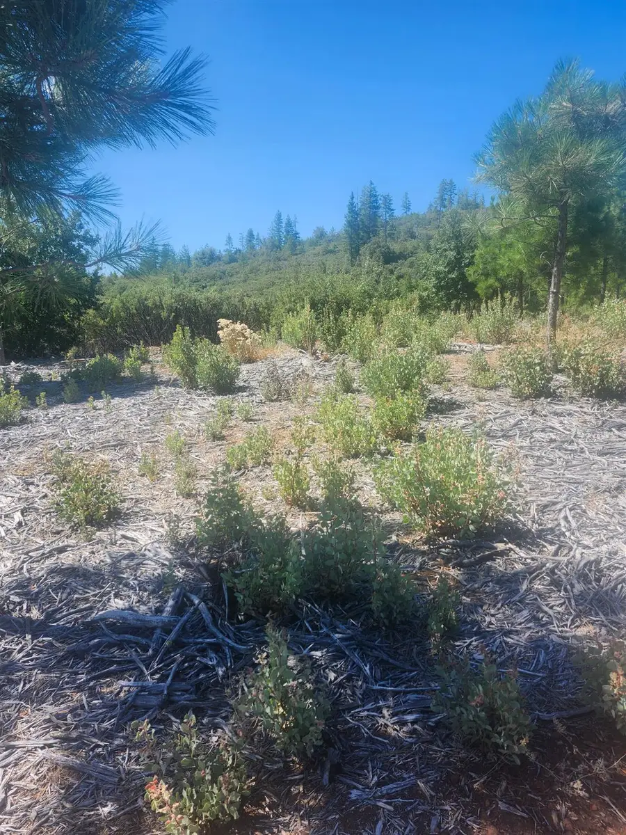 19855 Incense Cedar Trail, Groveland, CA 95321 - Image #2