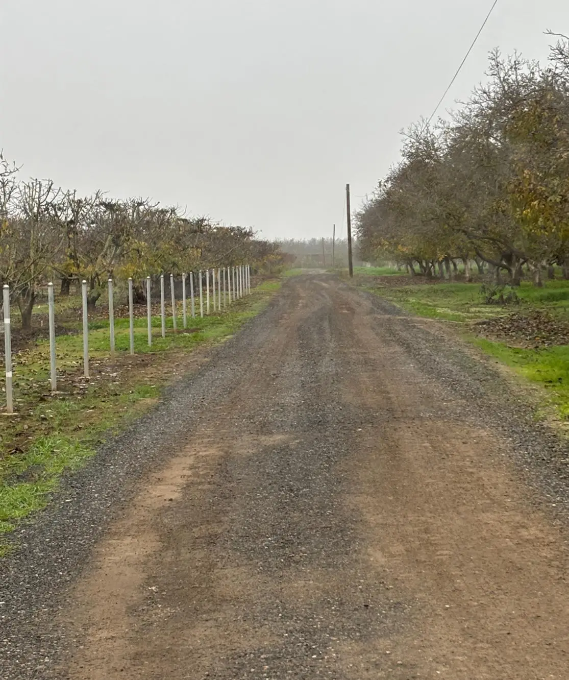 14860 E Baker Road, Linden, CA 95236 - Image #1