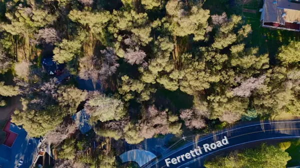 0 215 Ferretti Rd, Groveland, CA 95321