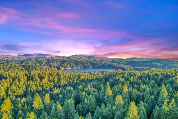 0 4440 Sly Park Rd, Pollock Pines, CA 95726