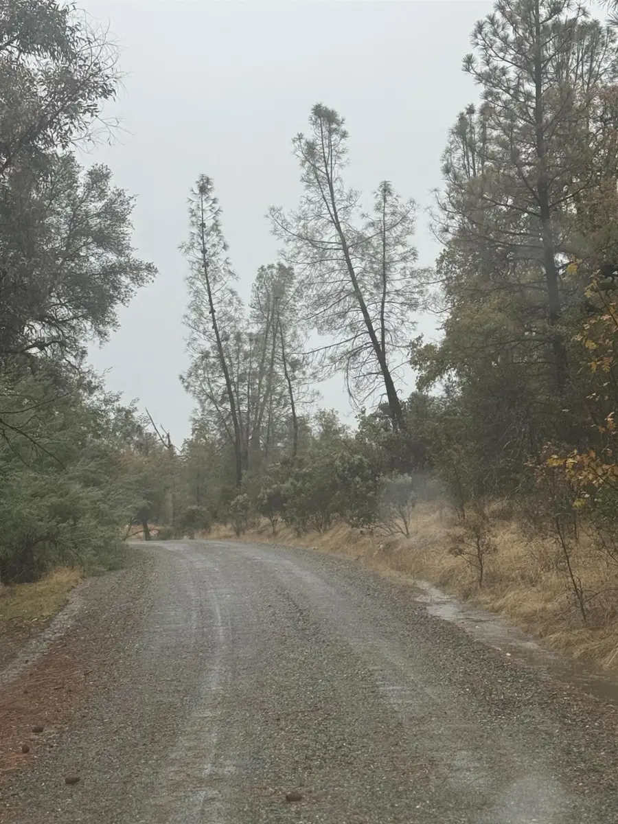 13710 Yuba Nevada Road, Dobbins, CA 95935 - Image #2