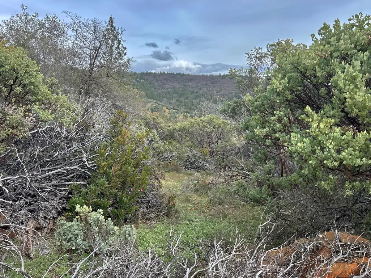 Address Withheld By Seller, Oroville, CA 95966 - #1