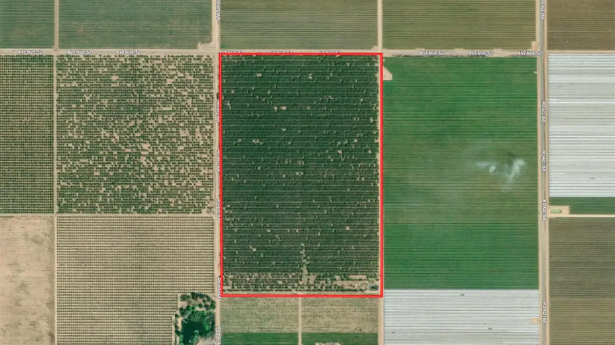 0 Ave 48 & Rd 164, Earlimart, CA 93219 - Image #1