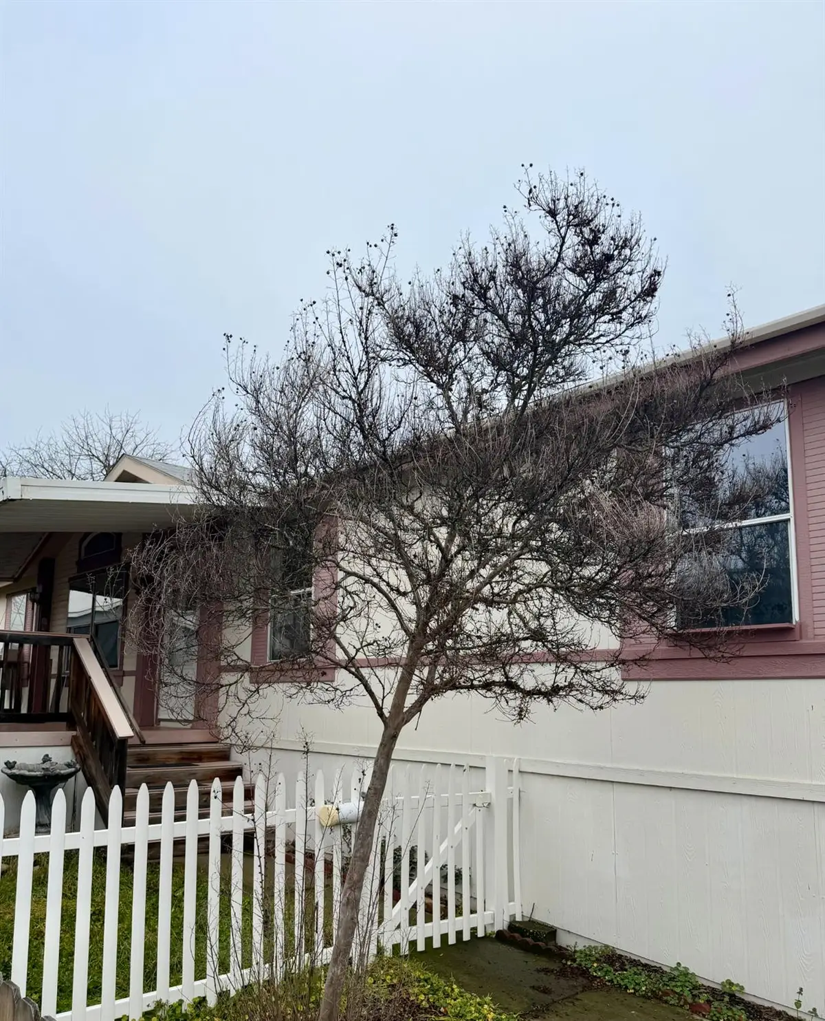 1130 White Rock Road #118, El Dorado Hills, CA 95762 - Image #1