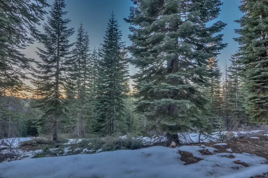 0 Prather Meadow Road, Arnold, CA 95223 - Image #3