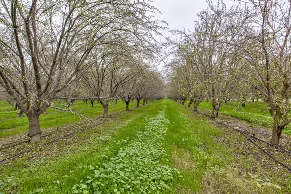 0 Sierra Ave & N Kramer St, Earlimart, CA 93219