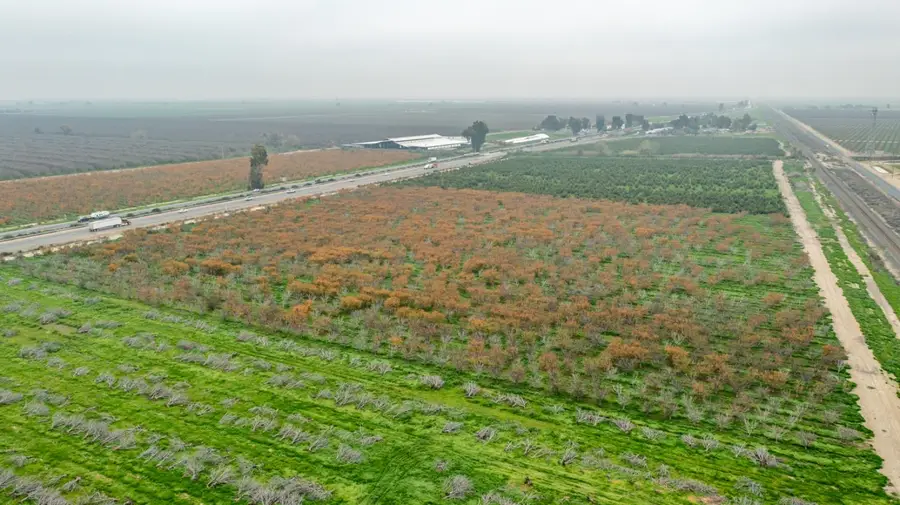 0 Hwy 99 & Ave 184, Tulare, CA 93274 - Image #2