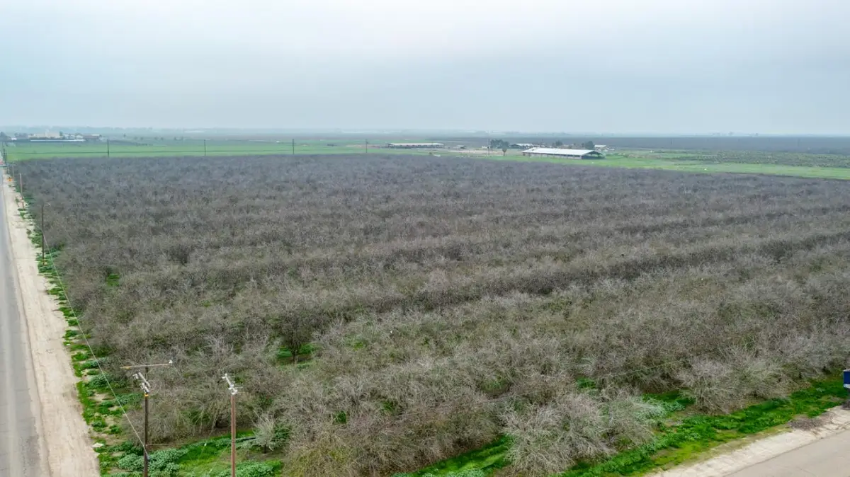 12394 Ave 184, Tulare, CA 93274 - Image #1