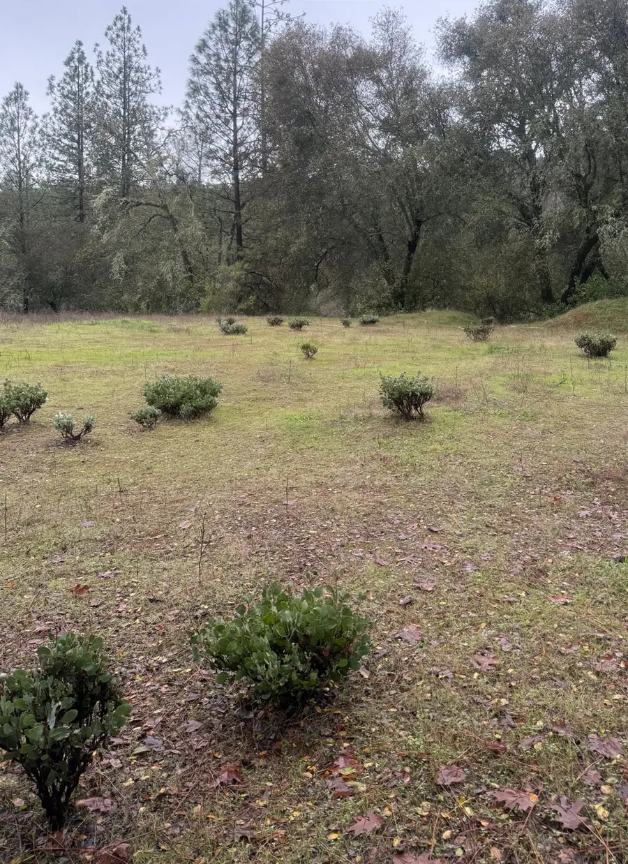 3200 Bird Haven Loop, Cool, CA 95614 - #3