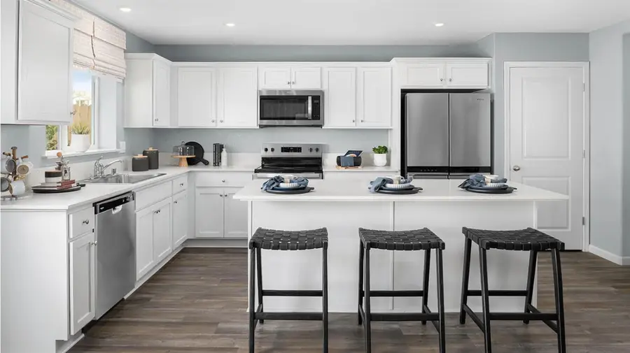 251 Soaring Drive, Lathrop, CA 95330 - #3