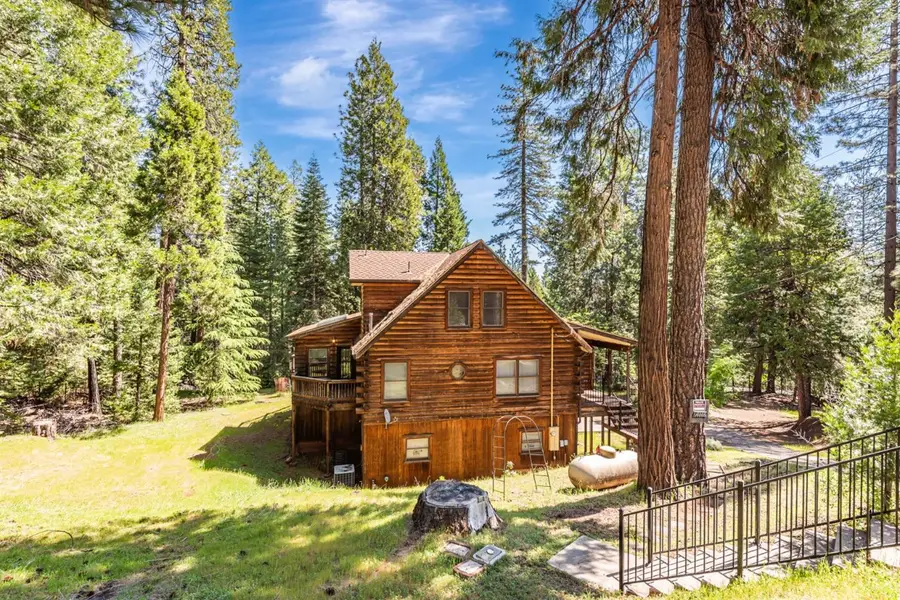 18008 N Mace Drive, Pioneer, CA 95666 - #2