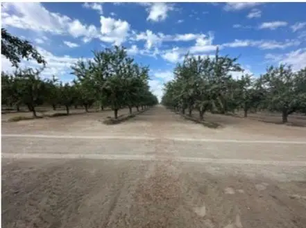 4783 W Manning Avenue, Fresno, CA 93706 - Image #2