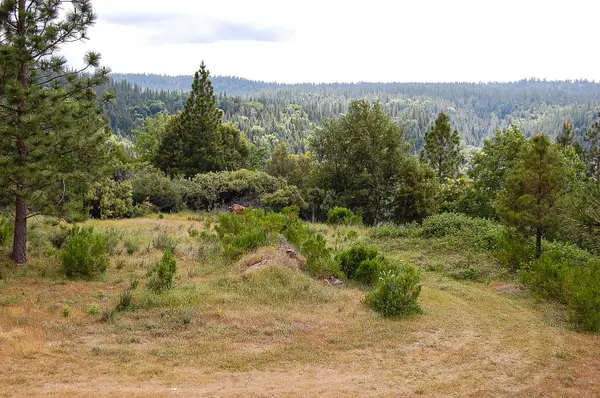 2676 Silver Mountain Road, Rail Road Flat, CA 95248