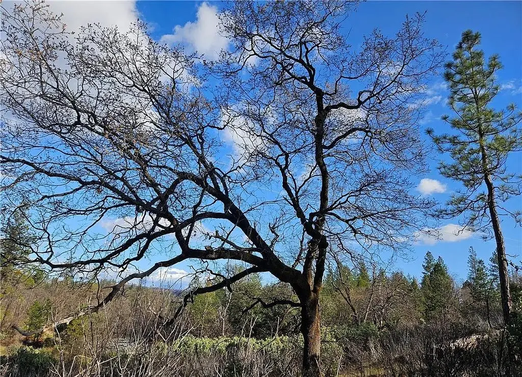 0 Feather Ridge Way, Berry Creek, CA 95916 - Image #1