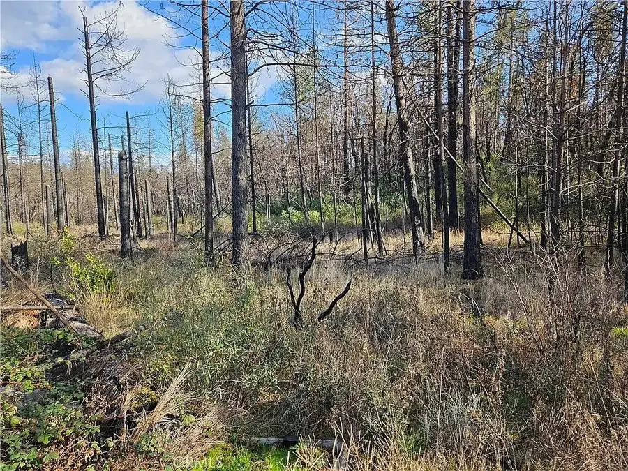 0 Feather Ridge Way, Berry Creek, CA 95916 - Image #2