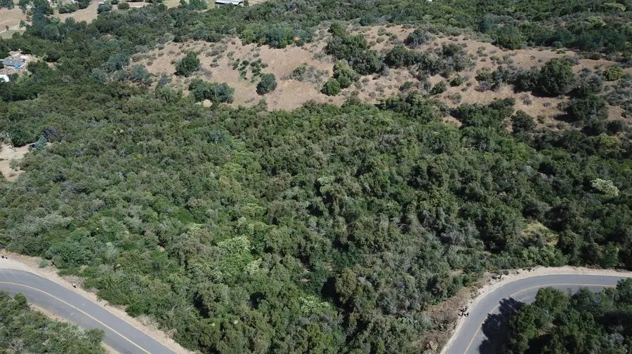 8 Acres, Miramonte, CA 93641 - #3