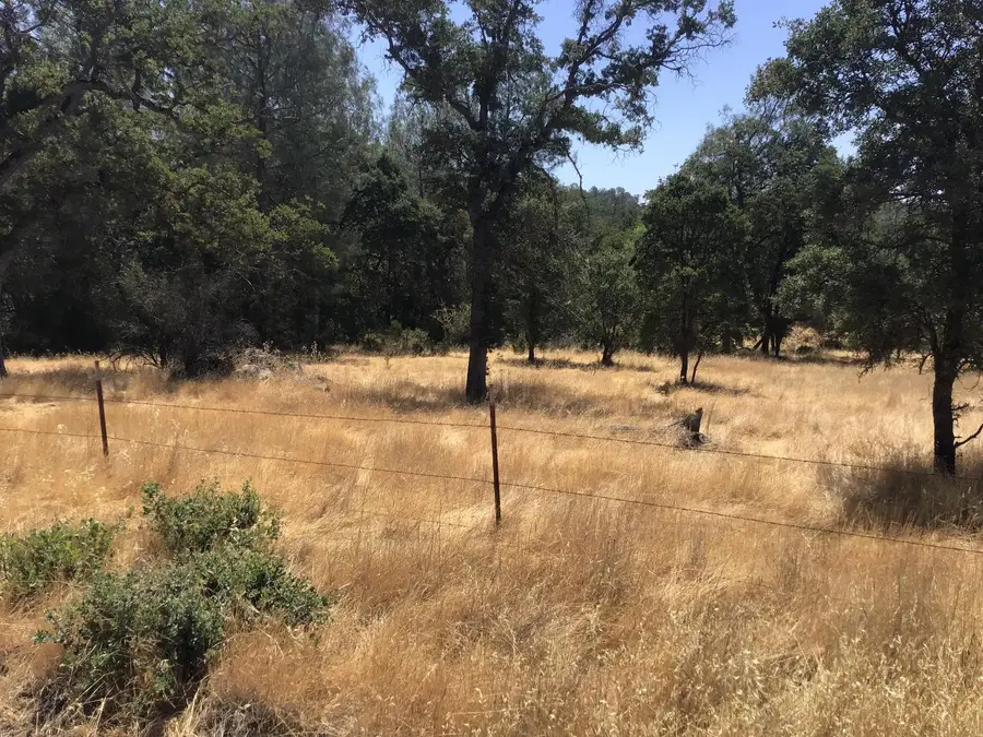 3071 Chestnut Way, Angels Camp, CA 95222 - Image #3