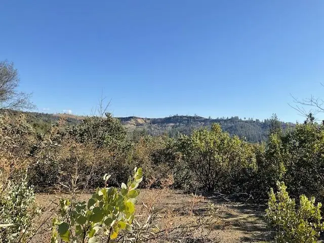 1445 Gallows, Murphys, CA 95223 - #2