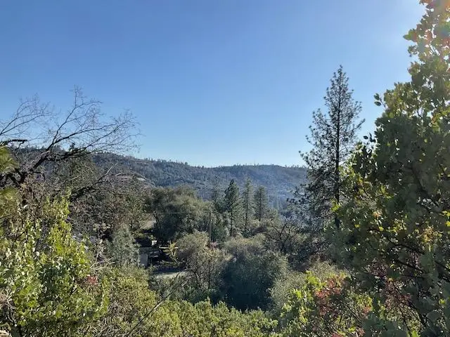 1445 Gallows, Murphys, CA 95223 - #3