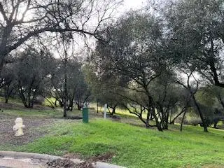 326 Mill Court, Angels Camp, CA 95222 - Image #1