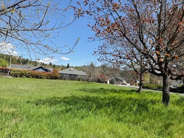 576 Quiet Place, Murphys, CA 95247 - #3