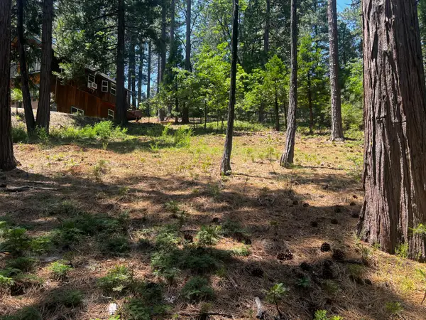 2904 Venado Drive, Arnold, CA 95223