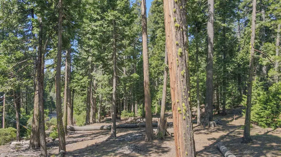 403 Sierra Parkway, Camp Connell, CA 95223 - #3