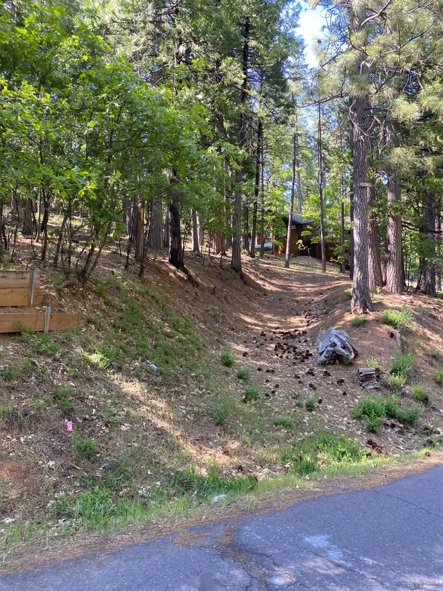 2946 Venado Drive, Arnold, CA 95223 - Image #2