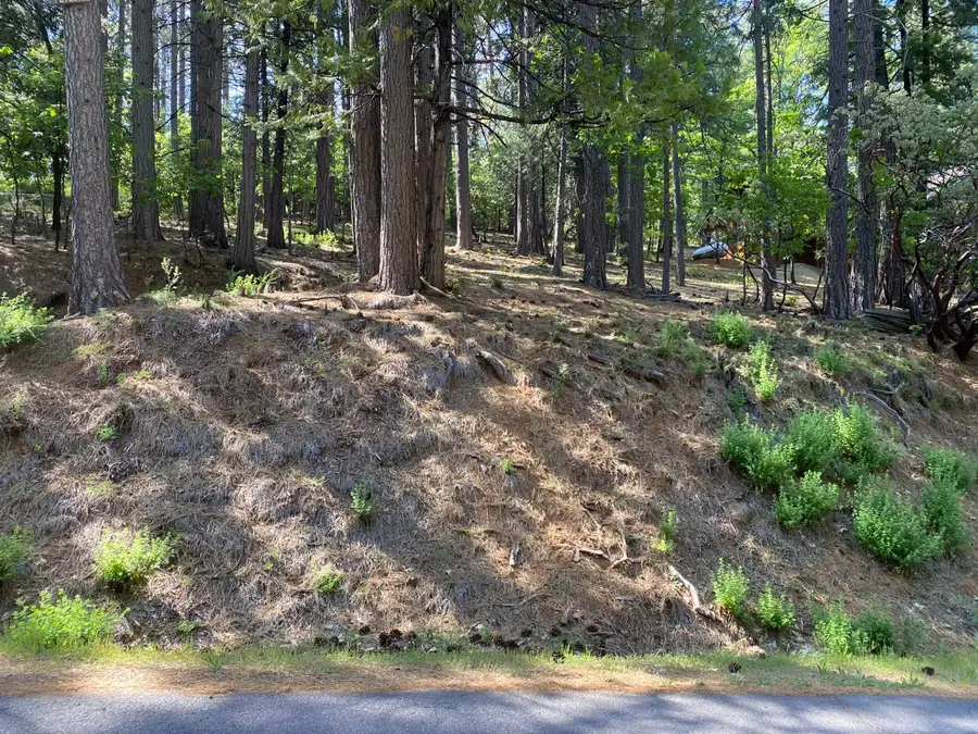 2946 Venado Drive, Arnold, CA 95223 - Image #3