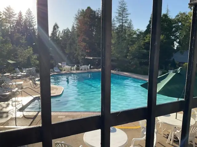 356 Snowberry Court, Murphys, CA 95247 - #1