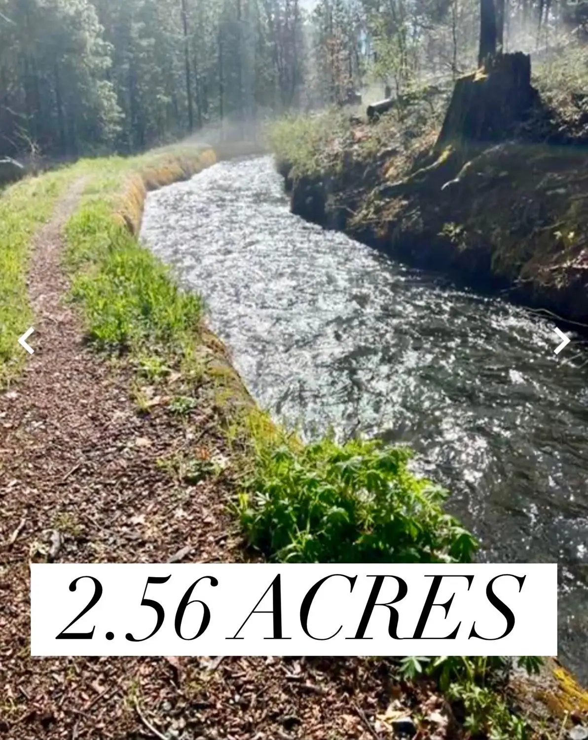 487 Canyon View Drive, Hathaway Pines, CA 95233 - #1