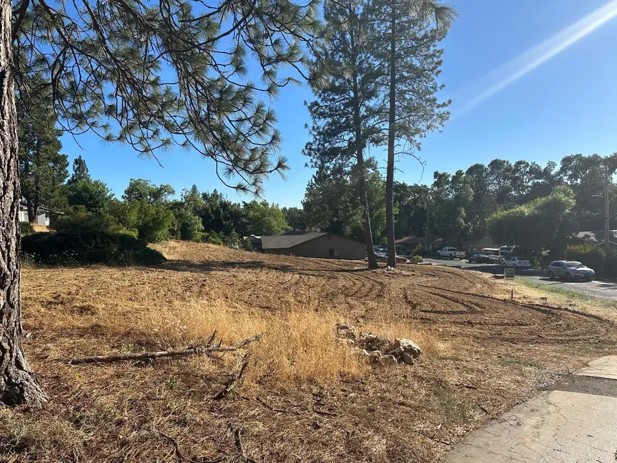 1 Watkins Street, Murphys, CA 95247 - #3