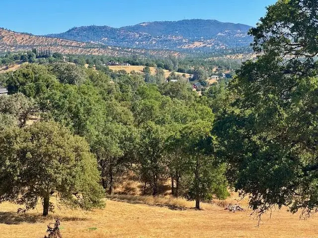 1496 Papoose Drive, Copperopolis, CA 95228 - #3