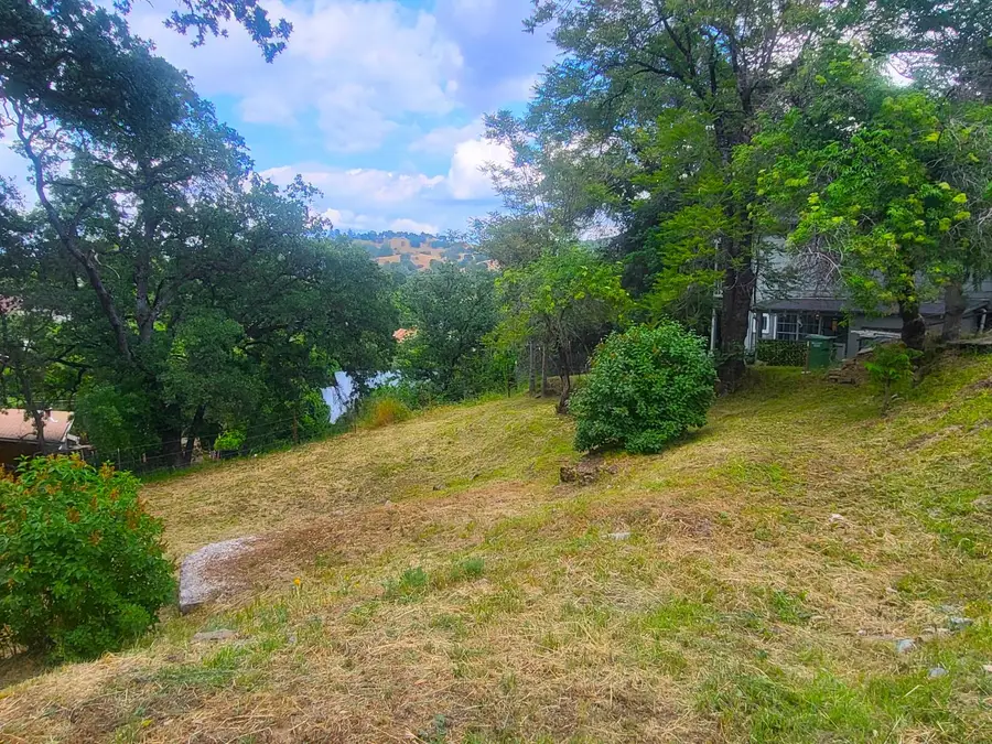 1350 Love Street, Angels Camp, CA 95222 - #3