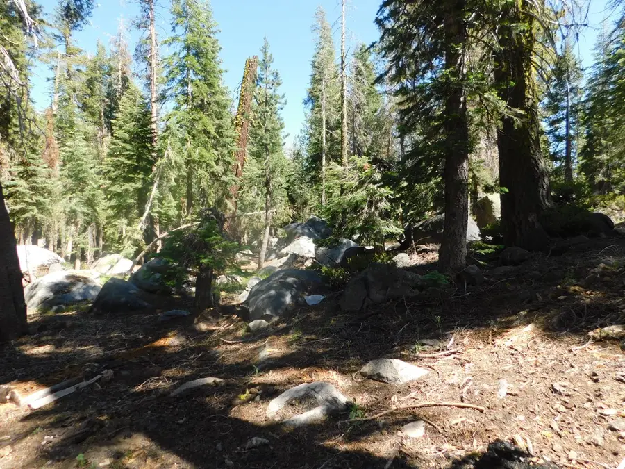 0 Kitch Trail, Arnold, CA 95223 - #2