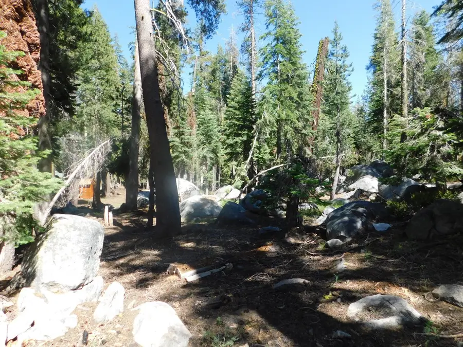 0 Kitch Trail, Arnold, CA 95223 - #3