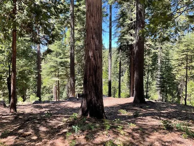 1619 Shoshone Drive, Dorrington, CA 95223 - #2