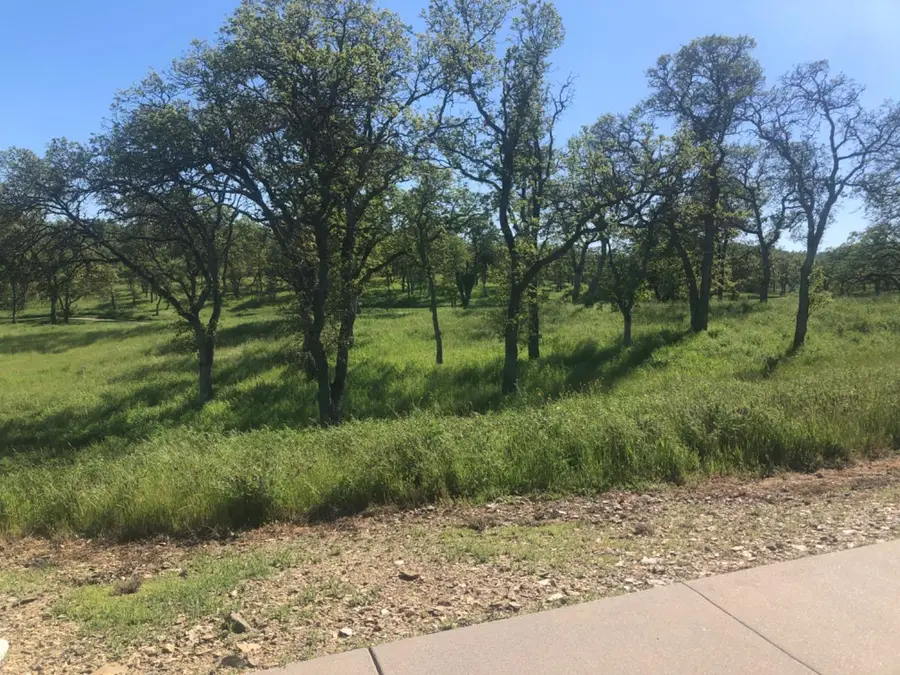 367 Knolls Drive, Copperopolis, CA 95228 - #3