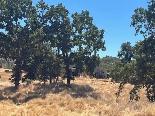 355 Lewis Avenue, San Andreas, CA 95249 - #3