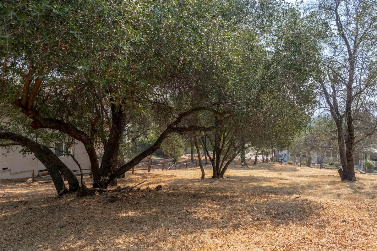 0 736 Live Oak, Angels Camp, CA 95222 - #1