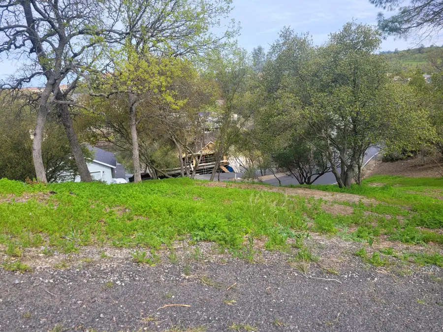 209 Oakhurst Court, Copperopolis, CA 95228 - #2