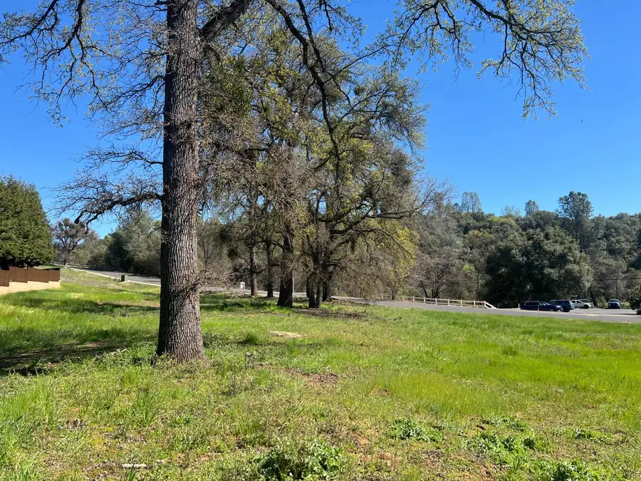 25 Kurt Drive, Angels Camp, CA 95222 - #3