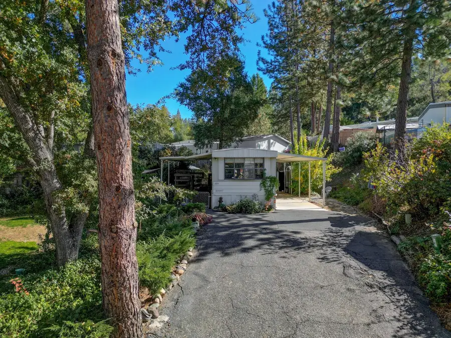 209 Black Bart, Murphys, CA 95247 - #2