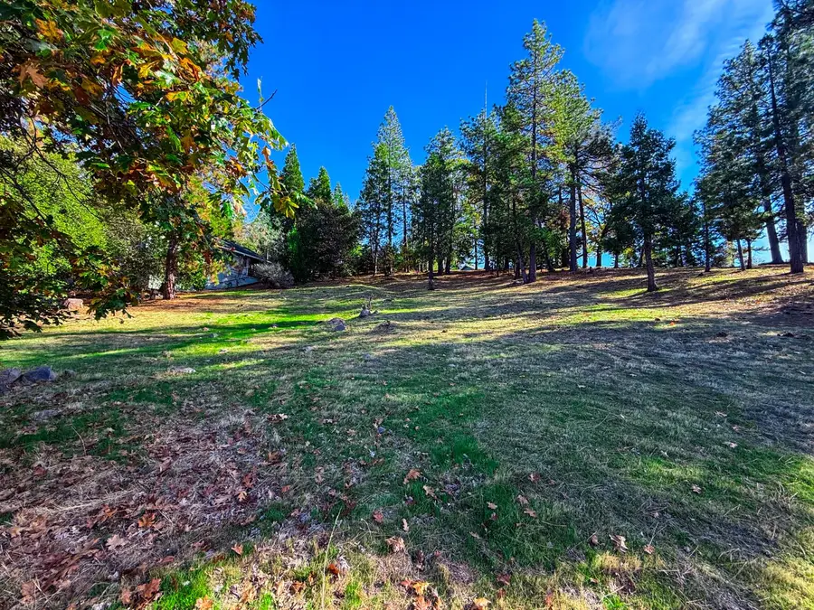 297 Forest Meadows Drive, Murphys, CA 95247 - #2