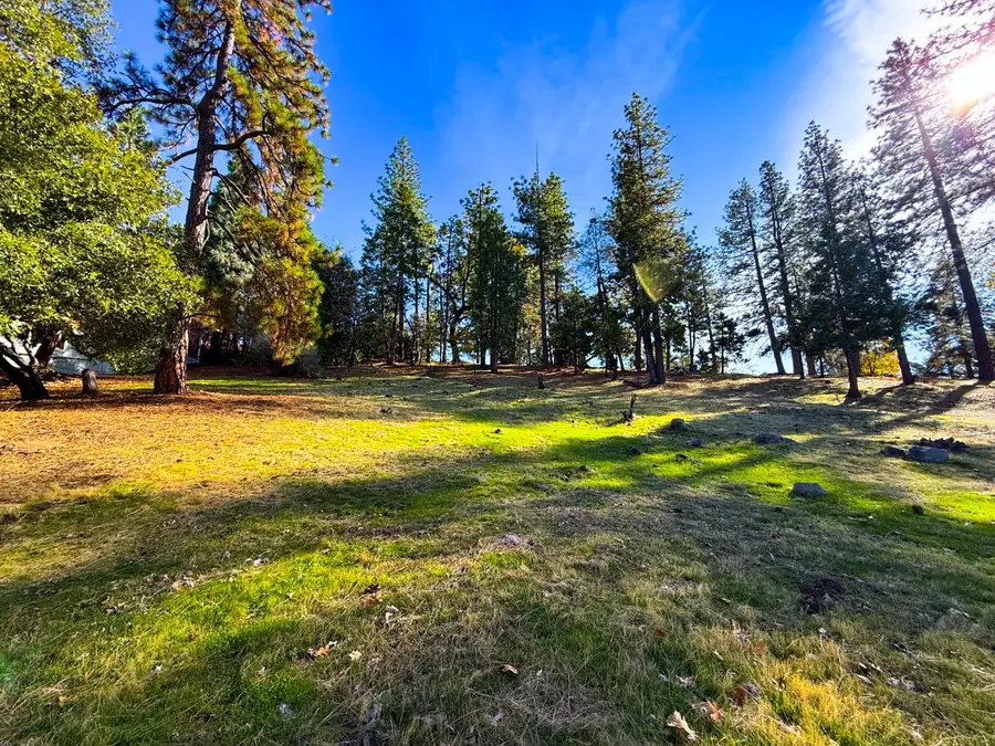 297 Forest Meadows Drive, Murphys, CA 95247 - #3