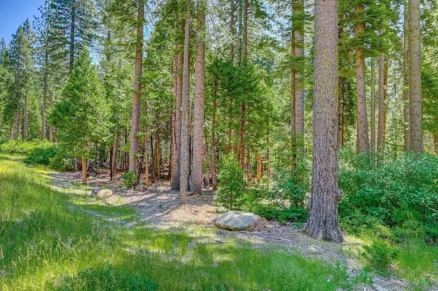 10 Timber Trail Court, Camp Connell, CA 95223 - #3