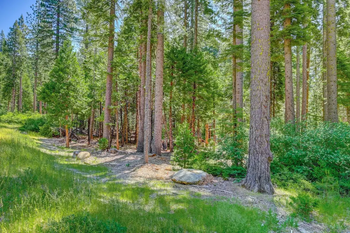 11 Timber Trail Court, Camp Connell, CA 95223 - #1